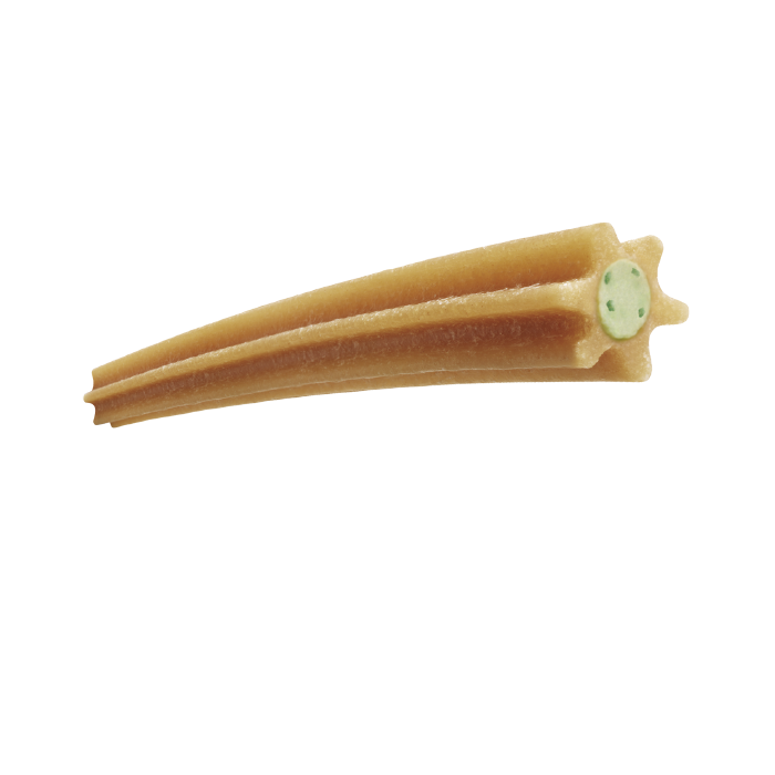 Advance Dental Care medium/maxi