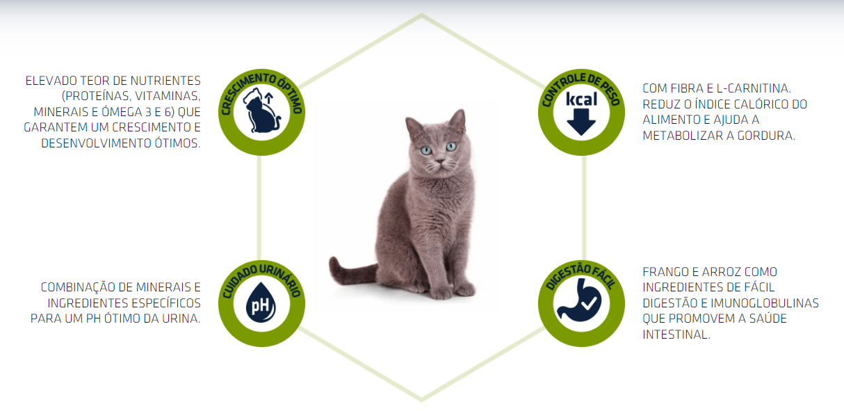 Cat Junior Esterlizado Ração Seca - Frango e Arroz - Advance