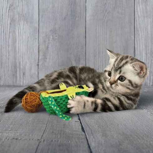 Gatinho tigrado a brincar com brinquedo de tecido e bola de fio