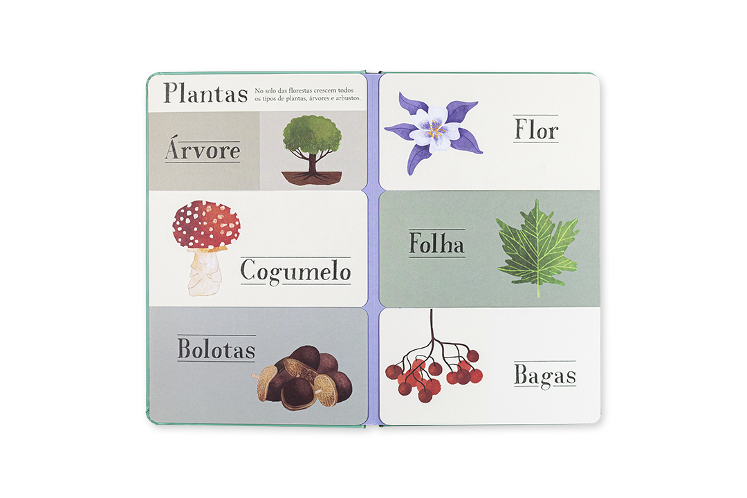 Livro | MUNDO A DESCOBRIR - FLORESTA