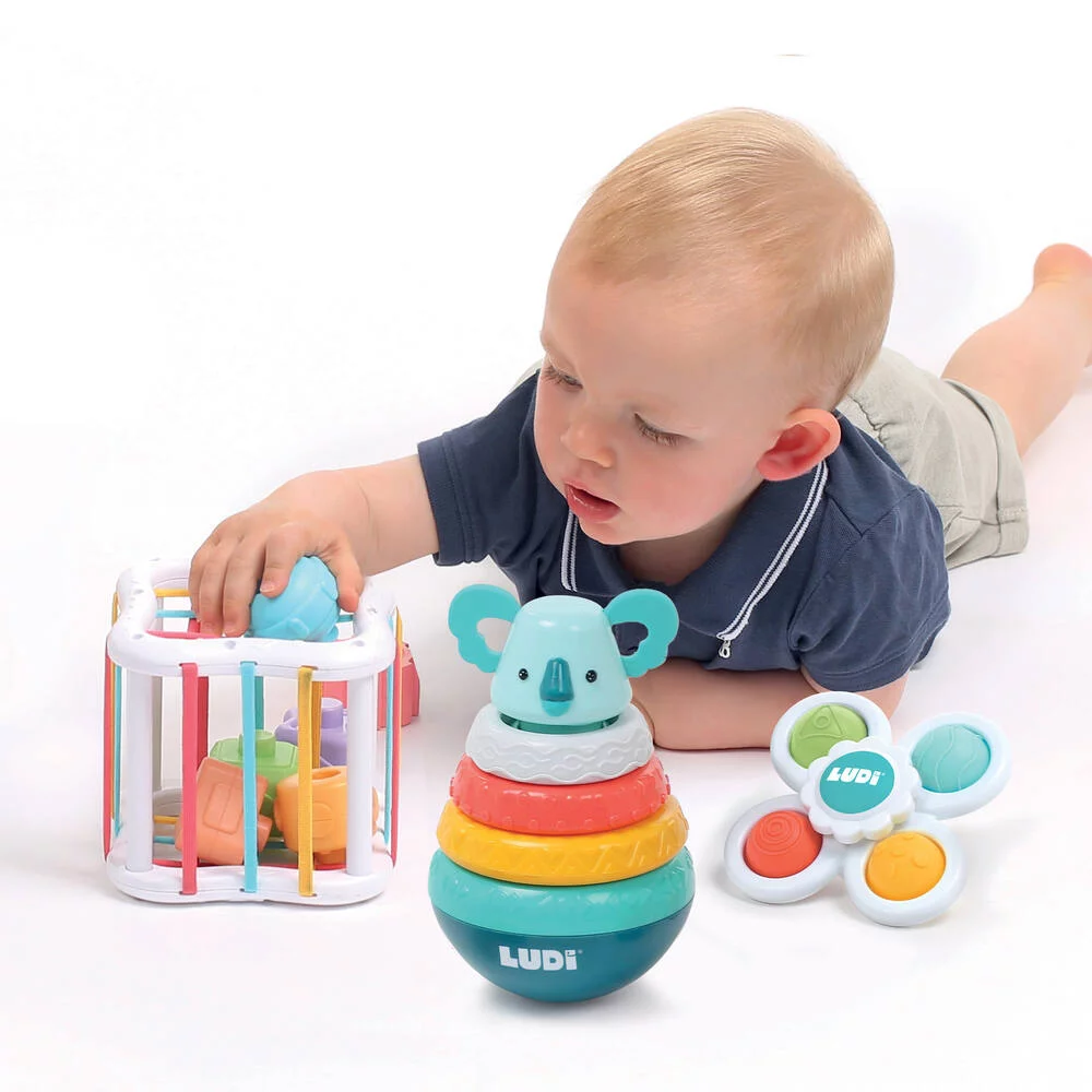 Ludi | Caixa de Brinquedos para bebé