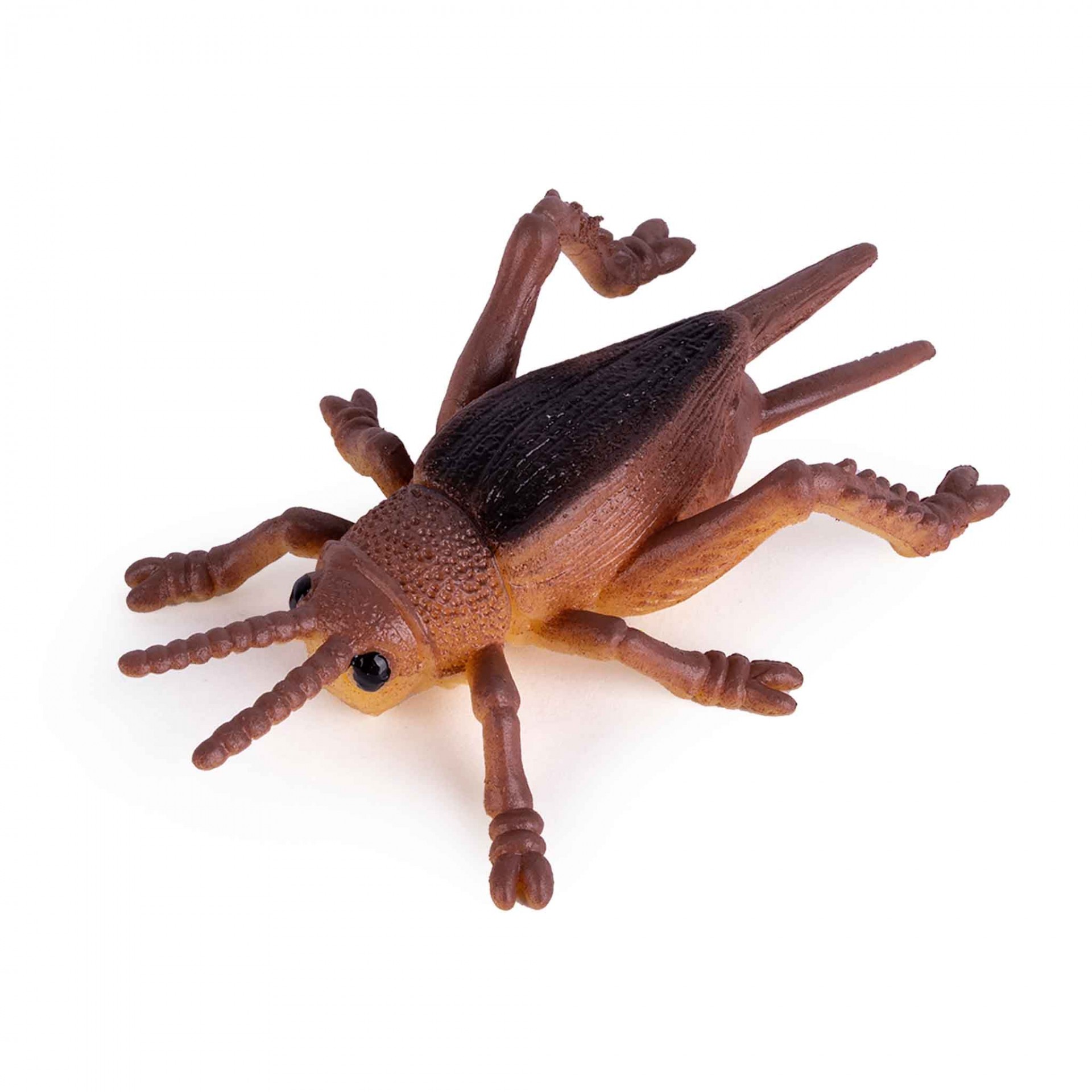 Insectos Squeeze me | Anti-Stress