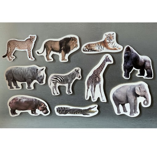 Magnets | Animais Selvagens