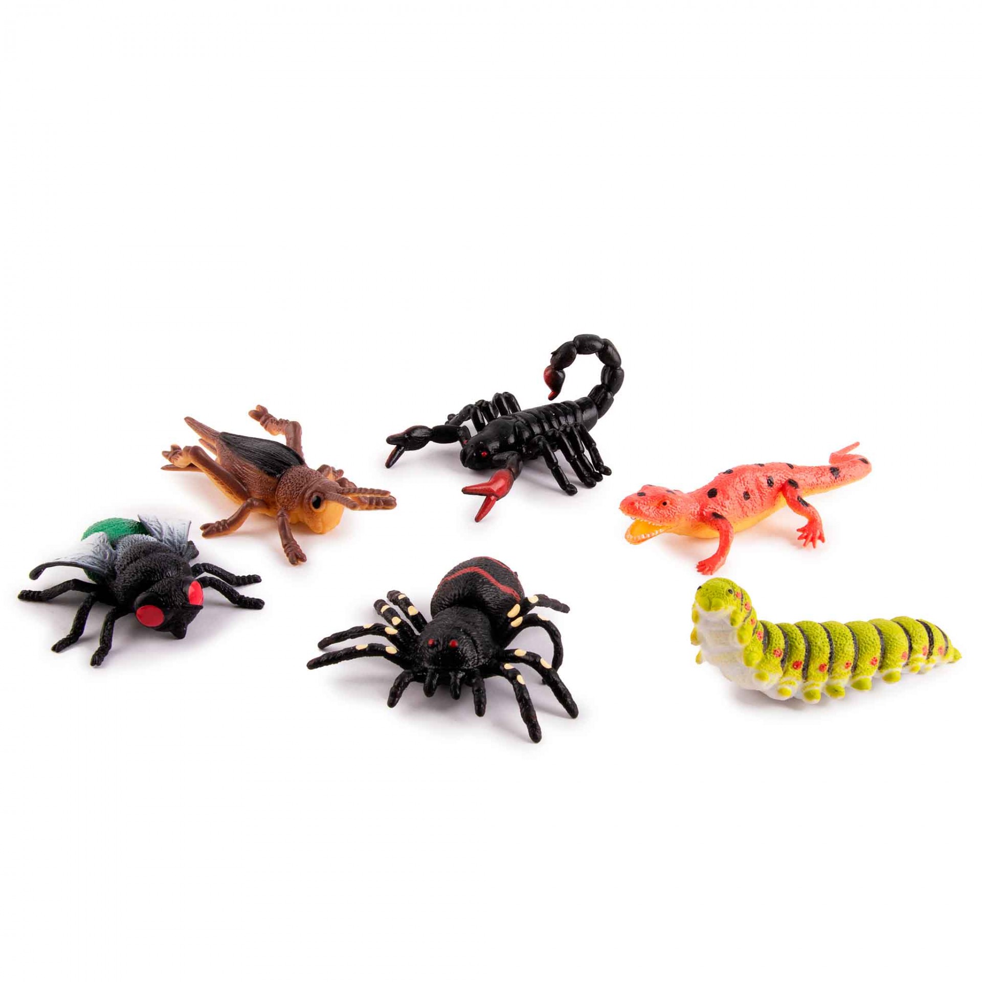 Insectos Squeeze me | Anti-Stress