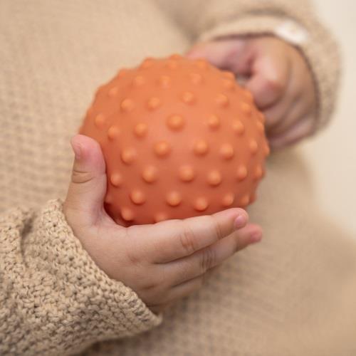 Set de Bolas Sensoriais | Little Farm ( Pack de 3 )