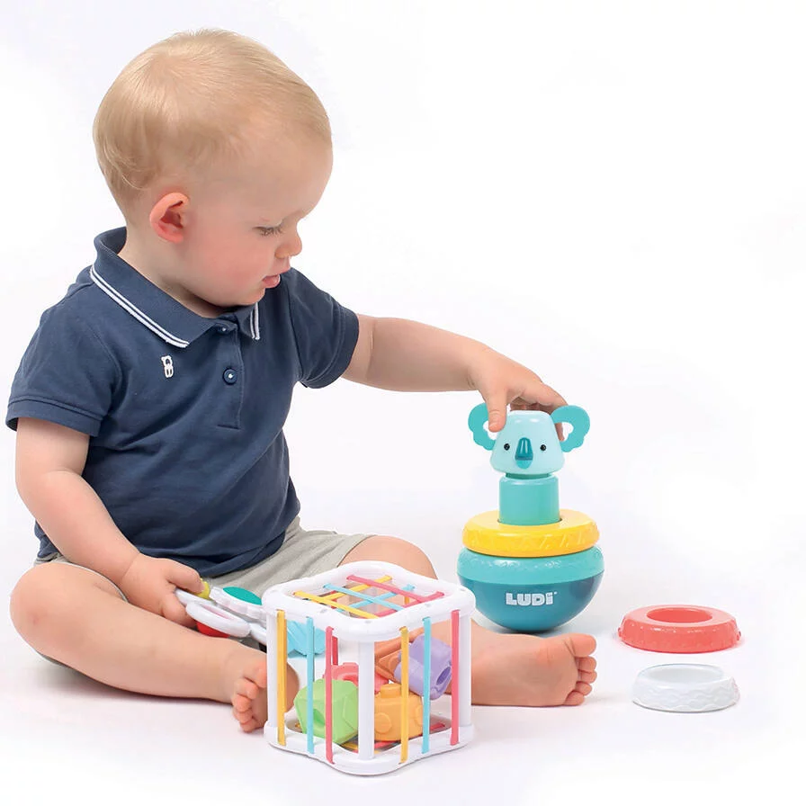 Ludi | Caixa de Brinquedos para bebé