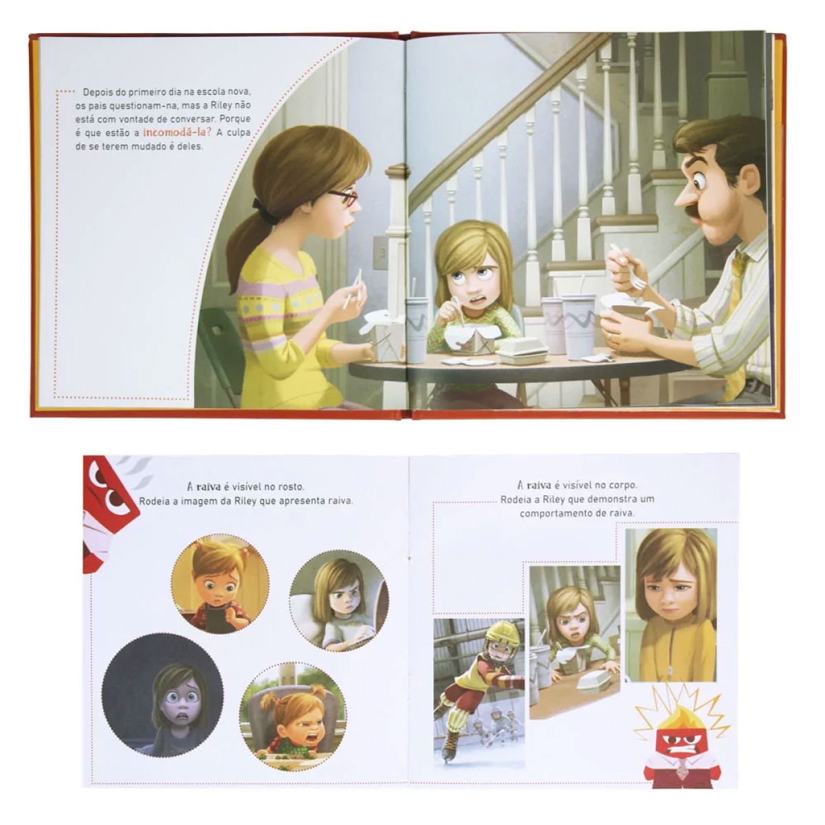 Livro | A cor das Emoções Raiva