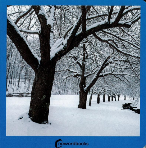 Livro Nowordbooks | Inverno