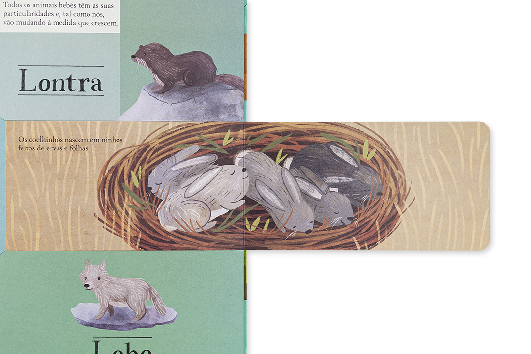 Livro | MUNDO A DESCOBRIR - FLORESTA