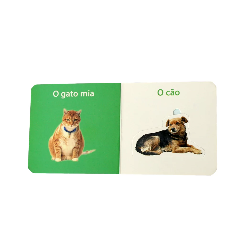 Livro infantil com imagens de um gato e um cão e texto em português.