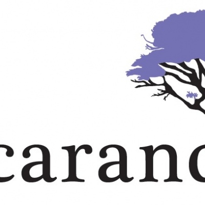 Jacarandá