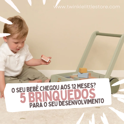 O Seu Bebé Chegou aos 12 Meses? 5 Brinquedos Essenciais Para Impulsionar o Desenvolvimento (e a Autonomia!)