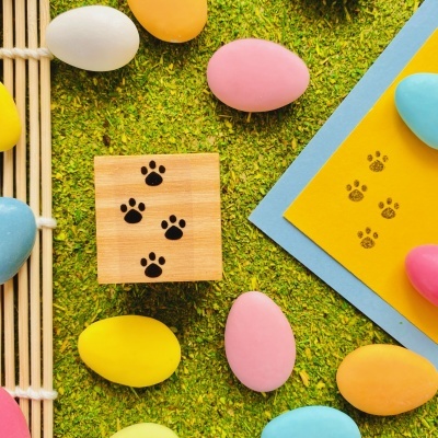 Carimbo&#x20;-&#x20;Pegadas&#x20;do&#x20;coelho&#x20;-&#x20;3x3cm