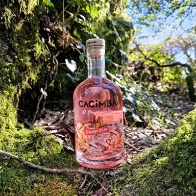 Cacimba gin - Pêssego Rosa