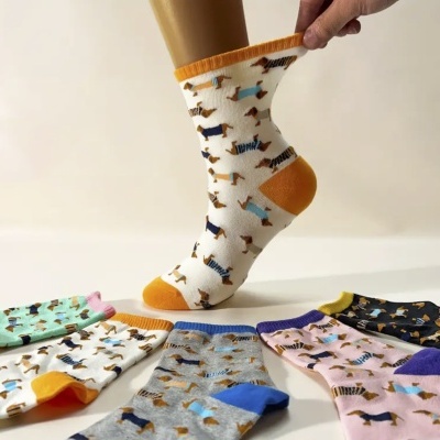 Gift Box Cães | Meias, Nécessaire, Escova e Mimos Fofinhos