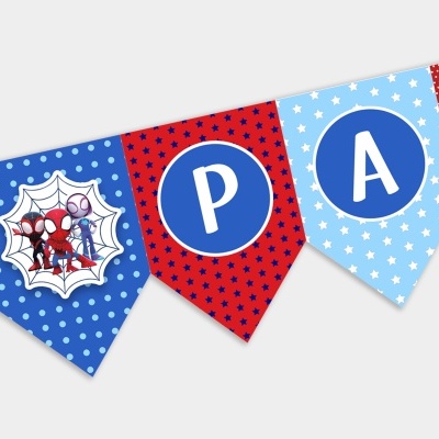 Bandeira SPIDEY E OS AMIGOS