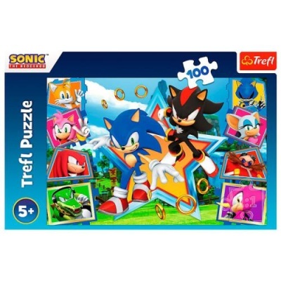 PUZZLE 100 Peças - Meet Sonic / SEGA Sonic The Headgehog