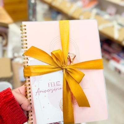 CONJUNTO AGENDA 24/25 e Planner - Rosa velho