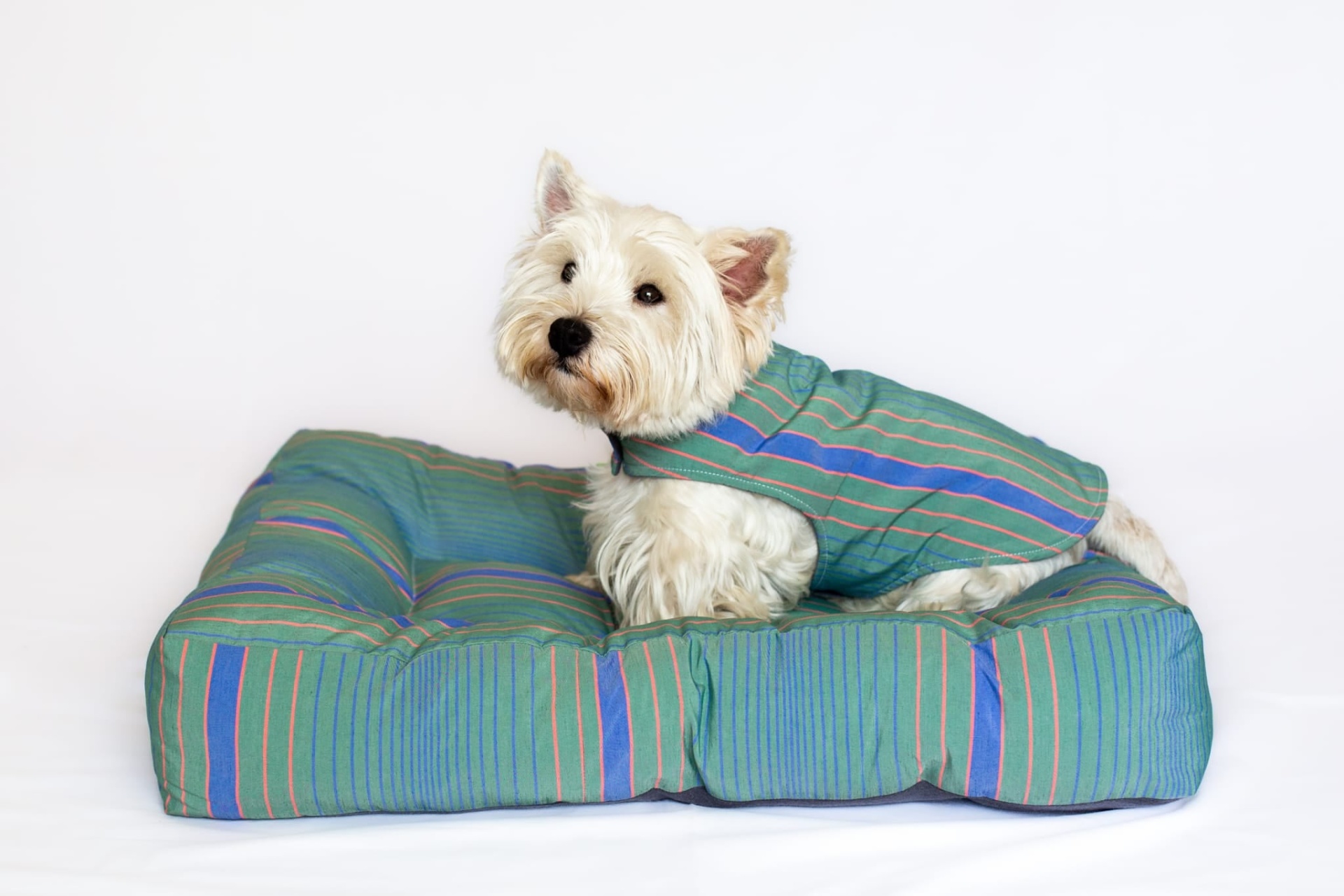 Casaquinho PET Casaquinho PET