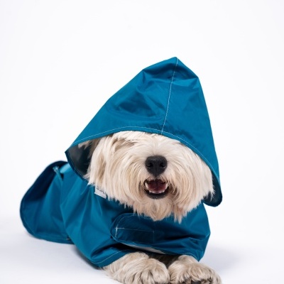 Casacos de Chuva PET Leroy Merlin Portugal