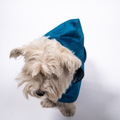 Casacos de Chuva PET Leroy Merlin Portugal