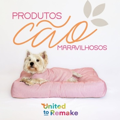 Coleção Pet United to Remake