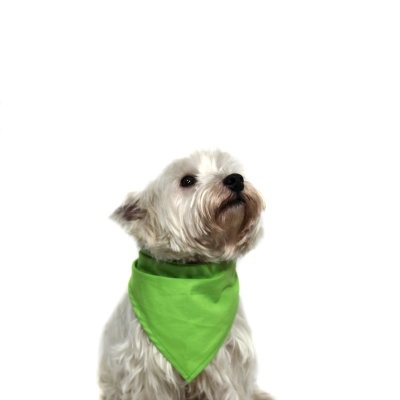 Lenço PET Leroy Merlin Portugal