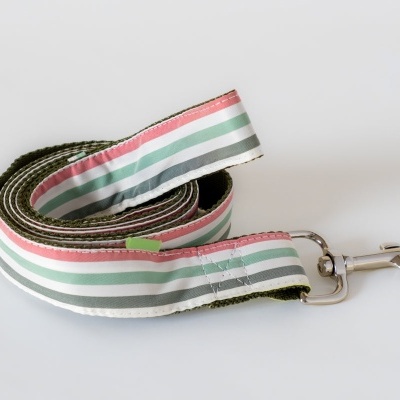 Trela para cão com padrão às riscas coloridas e metal prateado