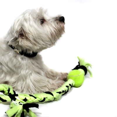 Brinquedo corda com bola