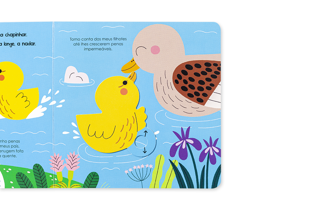 AJUDA A NATUREZA - OS PATOS