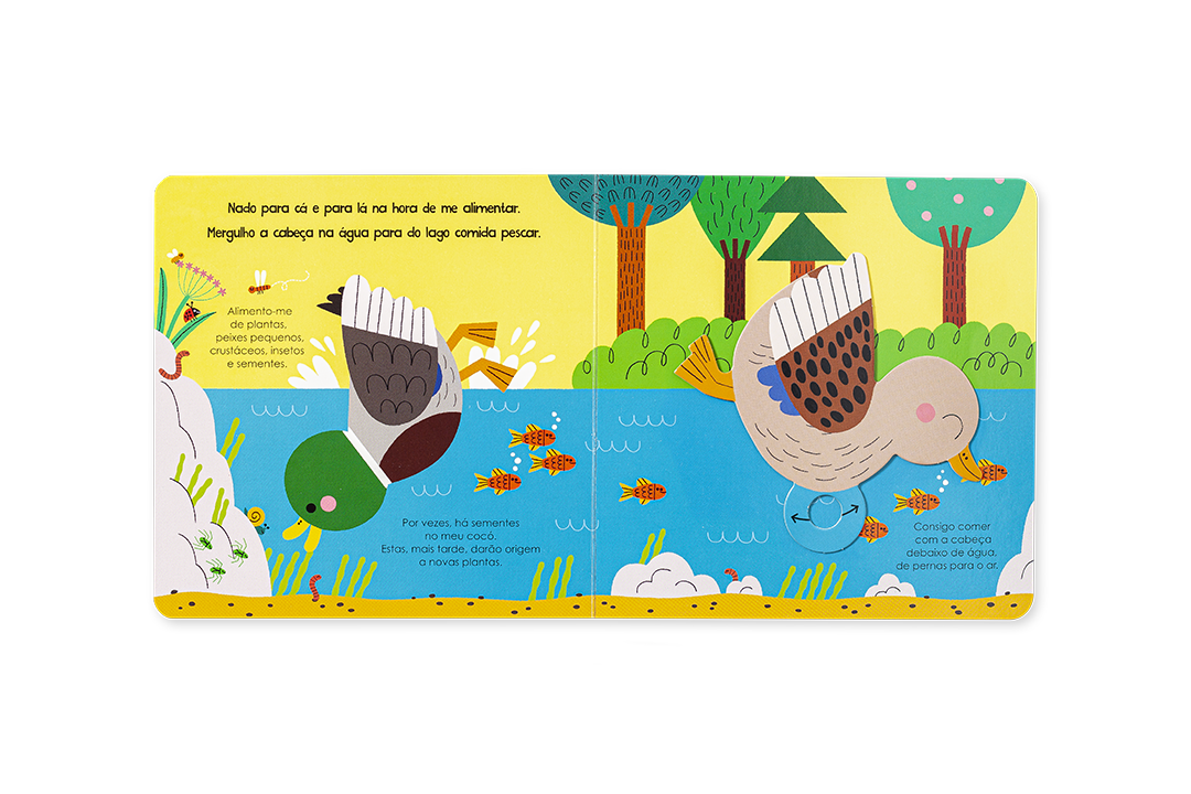 AJUDA A NATUREZA - OS PATOS