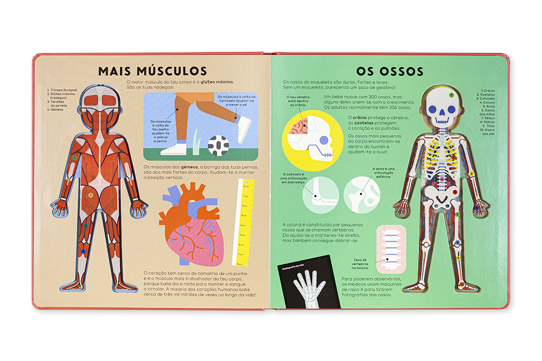 O LIVRO DO CORPO HUMANO