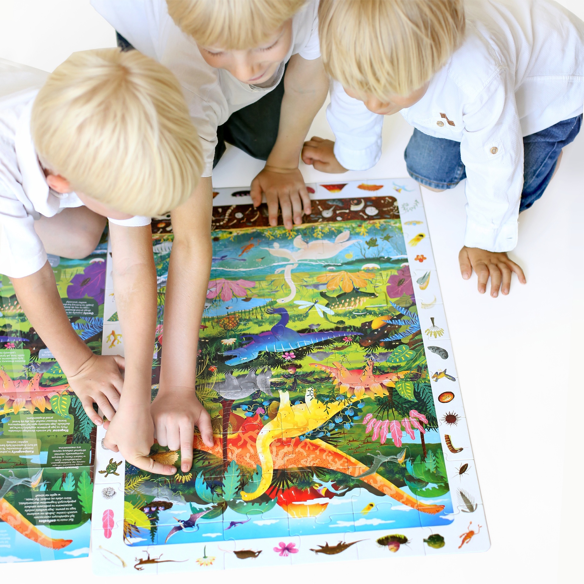 Observation Puzzle Dinosaurs