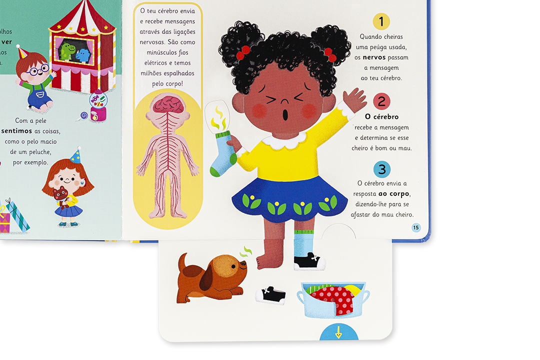 DESCOBRE — O CORPO HUMANO