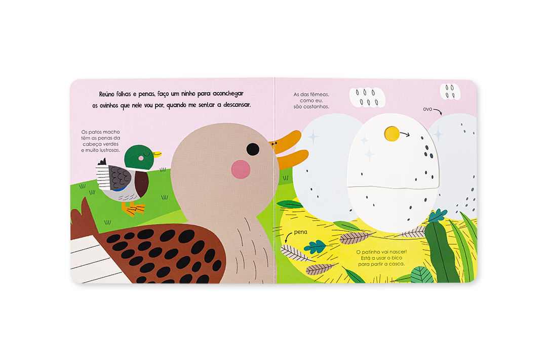 AJUDA A NATUREZA - OS PATOS