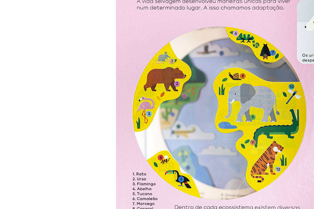 O LIVRO DO PLANETA TERRA