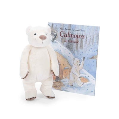 Urso de peluche branco junto a livro ilustrado com urso polar na capa