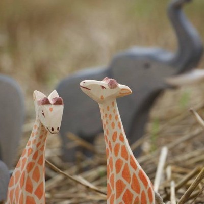 Girafa Grande Ostheimer