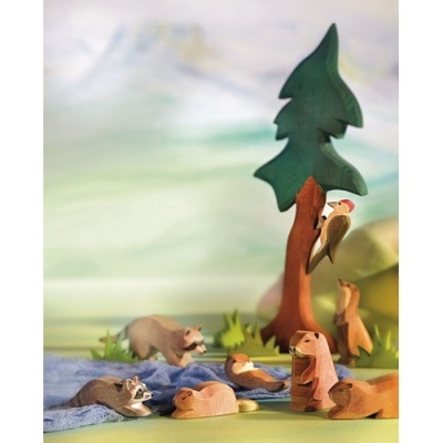 Castor Sentado Ostheimer