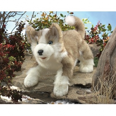 Pelúcia de cão husky siberiano em cenário natural com pedras e plantas