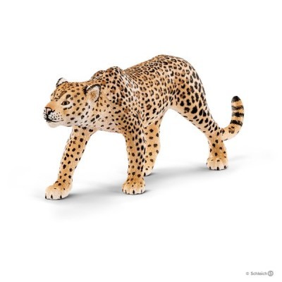 Leopardo Schleich