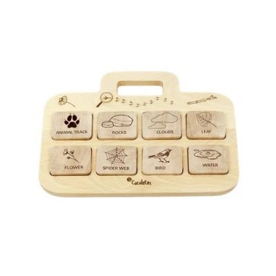 Desafio na Floresta (Nomes em Português)