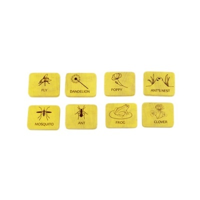 Pistas de Estações para Desafio na Floresta (Nomes em Português)