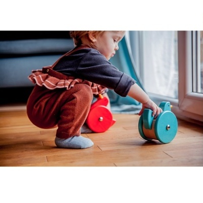 Galinha Sempre em Pé Vermelha