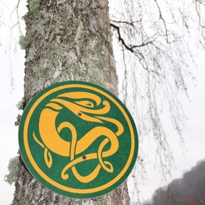 Escudo Celta Redondo em Madeira