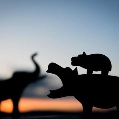 Hipopótamo com Boca Aberta Ostheimer