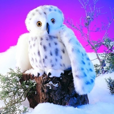 Fantoche Coruja das Neves