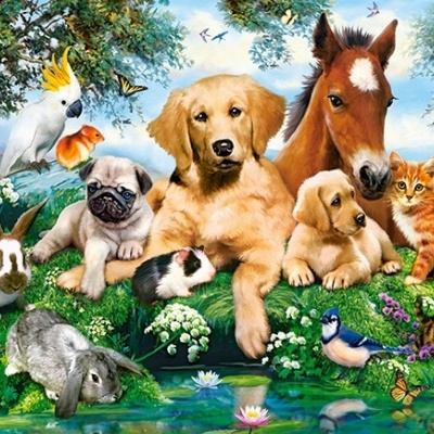 Vários animais juntos numa área verde com flores e lago, incluindo cães, coelhos, papagaios, gatos e cavalo.