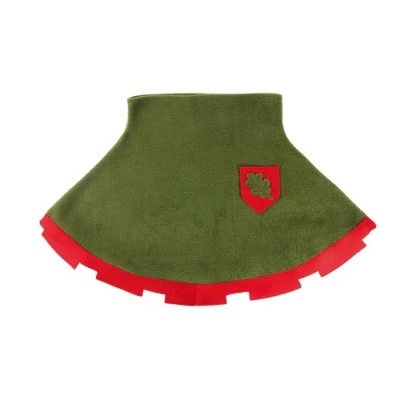 Capa Robin dos Bosques