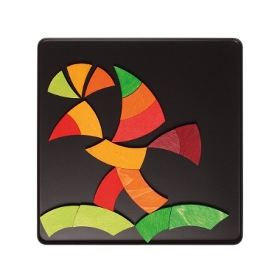 Jogo Magnético Círculo de Goethe Grimm's